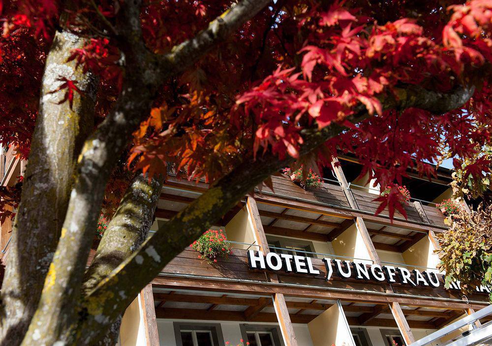 Jungfrau Hotel Wilderswil Ngoại thất bức ảnh